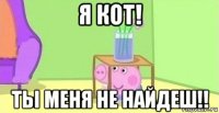 я кот! ты меня не найдеш!!