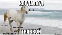 когда под травкой