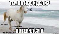 темпа не видели? потерялся ((