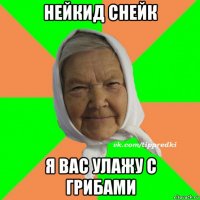 нейкид снейк я вас улажу с грибами