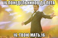 16 понедельников до лета 16, твою мать,16