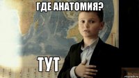 где анатомия? 