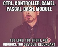 ctrl, controller, camel, pascal, dash, module too long, too short, not obvious, too obvious, redundant