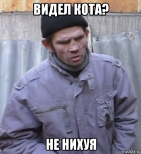 видел кота? не нихуя