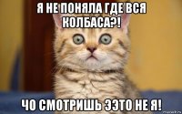 я не поняла где вся колбаса?! чо смотришь ээто не я!