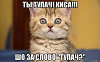 ты тупач! киса!!! шо за слово "тупач?"