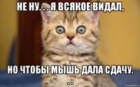 не ну. . . я всякое видал, но чтобы мышь дала сдачу. . .