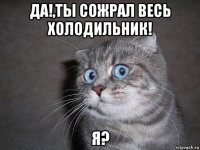 да!,ты сожрал весь холодильник! я?