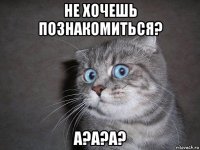 не хочешь познакомиться? а?а?а?