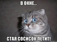 в окне... стая сосисок летит!