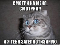 смотри на меня, смотрии!! и я тебя загепнотизирую