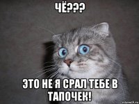 чё??? это не я срал тебе в тапочек!