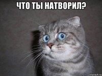 что ты натворил? 