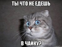 ты что не едешь в чайку?