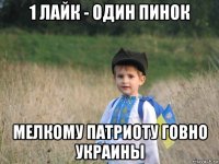 1 лайк - один пинок мелкому патриоту говно украины