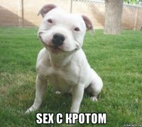  sex с кротом