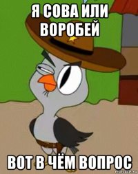 я сова или воробей вот в чём вопрос