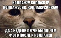 коллаж!!! коллаж к! коллажусик, коллажусичка!!! да 4 недели легче были, чем фото после и коллаж!!!