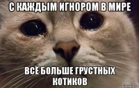 с каждым игнором в мире всё больше грустных котиков