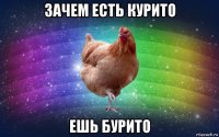 зачем есть курито ешь бурито