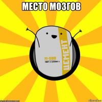 место мозгов 