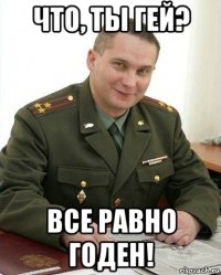 что, ты гей? все равно годен!