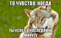 то чувство, когда ты успел в последнюю минуту