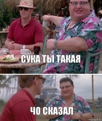 сука ты такая чо сказал