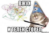 вжух и телек сгорел