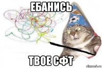 ебанись твое сфт