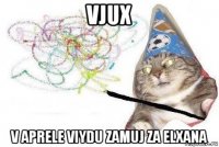 vjux v aprele viydu zamuj za elxana