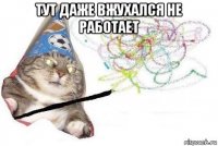 тут даже вжухался не работает 