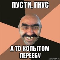 пусти, гнус а то копытом переебу