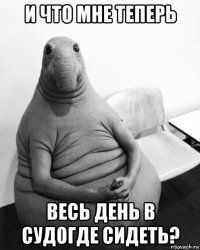 и что мне теперь весь день в судогде сидеть?