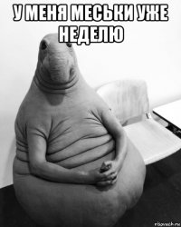 у меня меськи уже неделю 