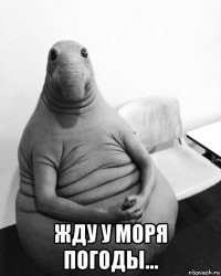  жду у моря погоды...