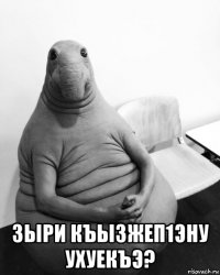  зыри къызжеп1эну ухуекъэ?