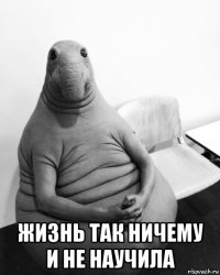  жизнь так ничему и не научила