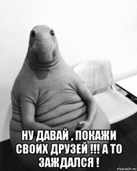  ну давай , покажи своих друзей !!! а то заждался !