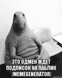  это одмен ждет подписок на паблик |memegenerator|