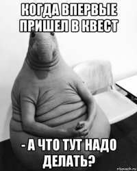 когда впервые пришел в квест - а что тут надо делать?