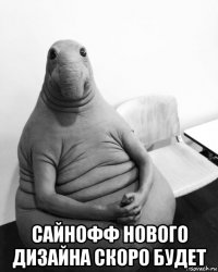  сайнофф нового дизайна скоро будет