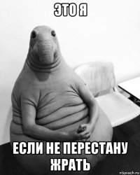 это я если не перестану жрать