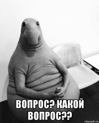  вопрос? какой вопрос??