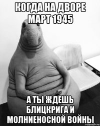 когда на дворе март 1945 а ты ждешь блицкрига и молниеносной войны