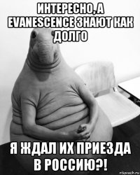 интересно, а evanescence знают как долго я ждал их приезда в россию?!