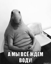  а мы всё ждём воду!