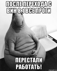 после перехода с вин 8.1 все проги перестали работать!