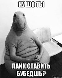 ну шо ты лайк ставить бубедшь?