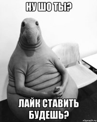 ну шо ты? лайк ставить будешь?